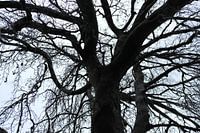 Winterwunder