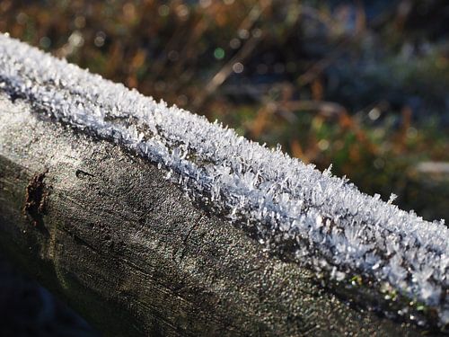 Hout bedekt met ijskristallen