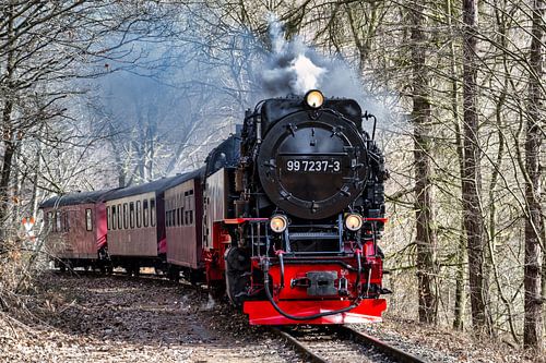 Oude spoorweg in het Harzgebergte in Duitsland