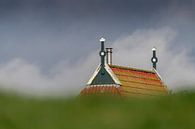 Kleurrijke topgevel van een boerderij achter een groene dijk in het noorden van Nederland van Tonko Oosterink thumbnail