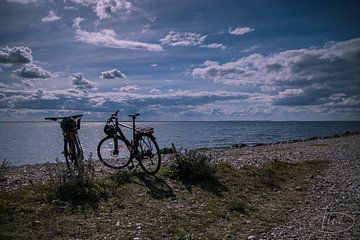 2 fietsen op het strand van Tina Linssen