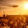 Kinderdijk Mühlen im Sonnenuntergang von Pierre Wolter