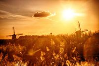Kinderdijk Windmills in sunset