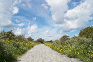 Op weg naar zee ( Wassenaar/Nederland) van Birgitte Bergman