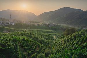 Weinberge und das Dorf Guia in den Prosecco-Hügeln. Italien