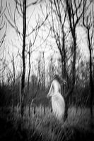 Motion blur #1