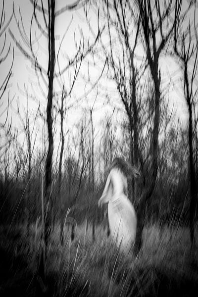 Motion blur #1 by Griet Vloebergh