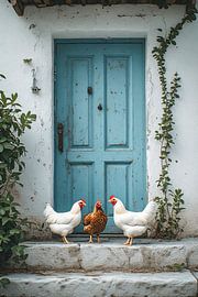 Trois poules se tiennent devant une porte bleu clair, sur le trottoir. sur Studio Jet