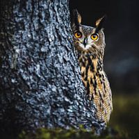 Un coup d'œil en coin II
