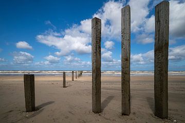 Beach poles at nude beach by Peter Bartelings