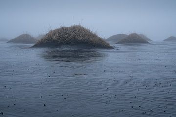 Stokksnes, IJsland, Europa van Alexander Ludwig