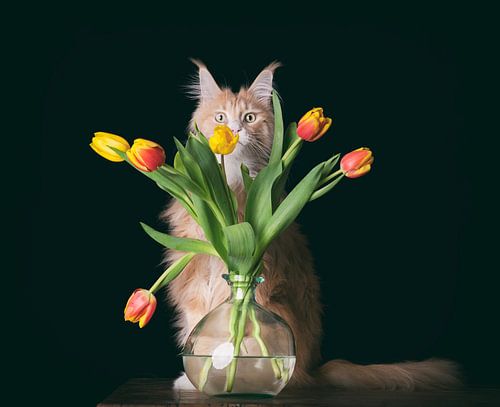 Wodan en zijn tulpen