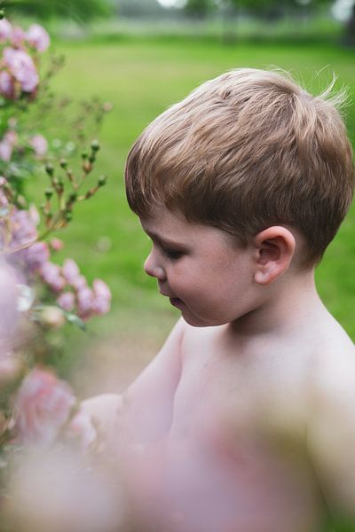 portrait d'un tout-petit à roses par Emma Herman