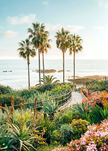 Bloei aan het strand