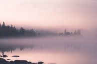 brouillard du matin par Kimberley Jekel Aperçu