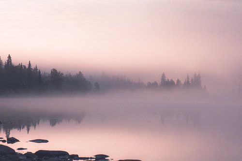 Ochtend mist