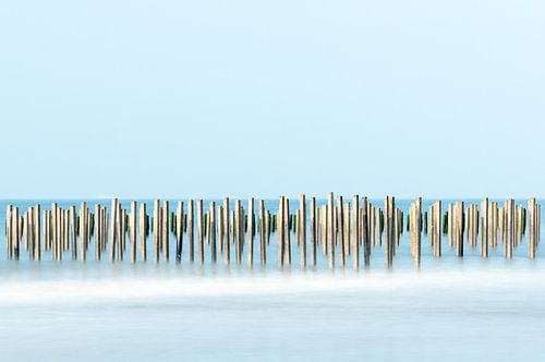 Pole row on the Opal Coast