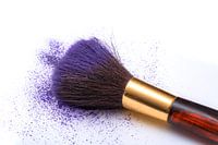 Large blush brush