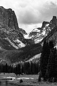 Bridger-Teton Mountain