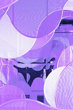 Purple curves by pauline smale