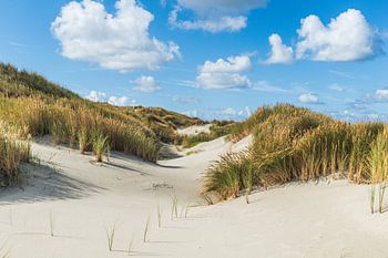 Terschelling