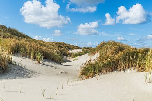 Terschelling