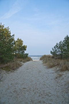 Strandovergang op Usedom met uitzicht op de Oostzee van Martin Köbsch