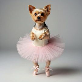 Süßer kleiner Yorkshire-Terrier im Ballettanzug von Costas Ganasos