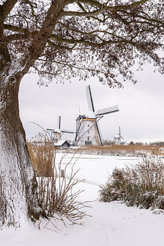 Mühlen Weltkulturerbe Kinderdijk im Schnee