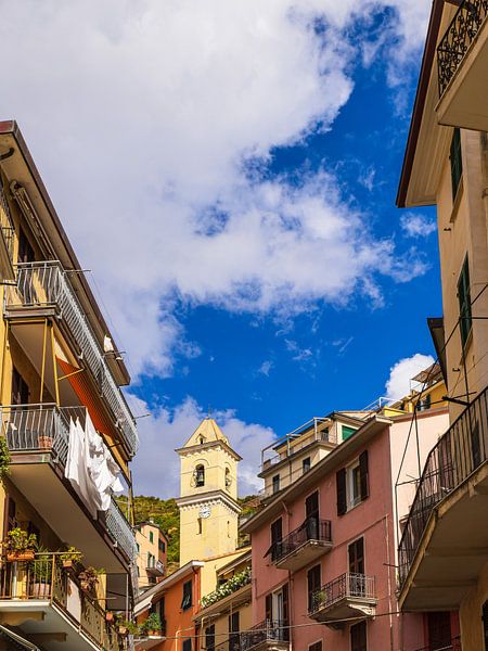 Historische Häuser in Manarola an der Mittelmeerküste in Itali von Rico Ködder