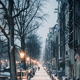 Bloemgracht Winter 2021 #1 (cold edit) van Roger Janssen