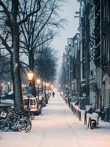 Bloemgracht Winter 2021 #1 (cold edit) sur Roger Janssen