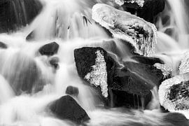 IIskoud von Michel Kant