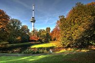 Colors of fall at the Euromast in Rotterdam by Gino Heetkamp thumbnail