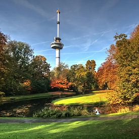 Colors of fall at the Euromast in Rotterdam by Gino Heetkamp