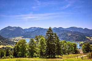BAYERN : BLICK AUF DEN SCHLIERSEE