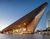 Rotterdam Central Station von Luc Buthker Miniaturansicht