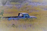 Oude Amerikaanse auto in bloemenveld van Paul Franke thumbnail