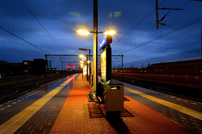 Lege perrons op station Houten Castellum. von Margreet van Beusichem