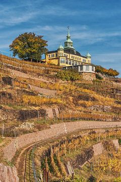 Spitz House Radebeul van Gunter Kirsch