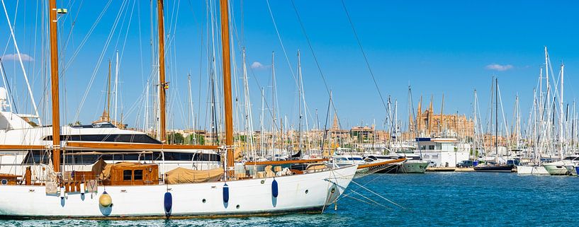 Mallorca, havenpanorama met zicht op kathedraal La Seu van Alex Winter