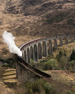 The Hogwarts Express van Marloes van Pareren