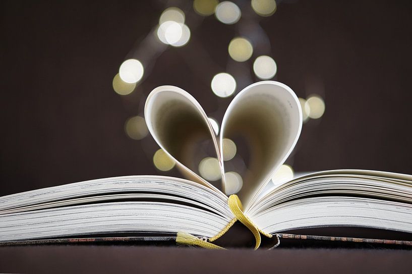 geöffneter Buch mit Seiten, zum Herz geschlagen von Martin Köbsch