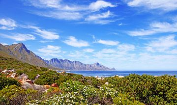 Coast of South Africa by W. Woyke