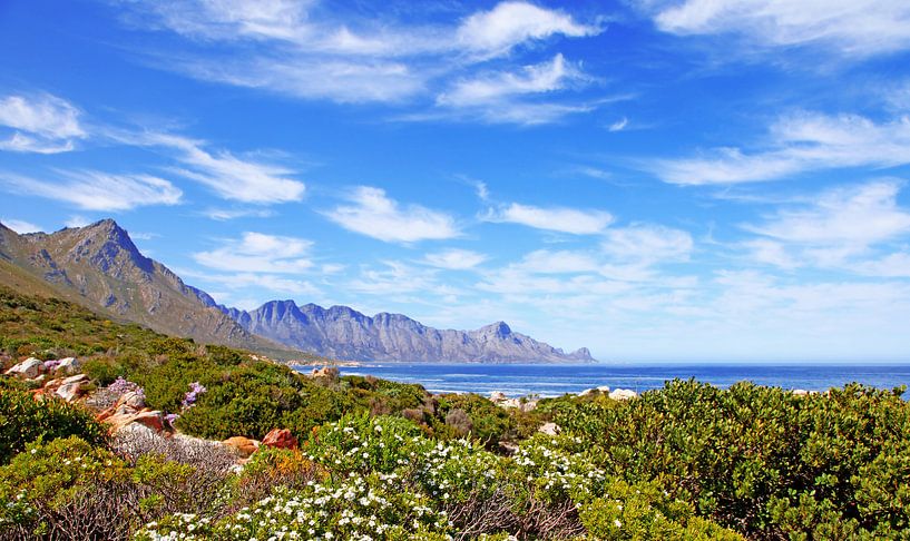 Coast of South Africa van W. Woyke