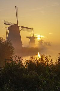 Een prachtige morgen bij Kinderdijk en zijn molens van Dirk van Egmond