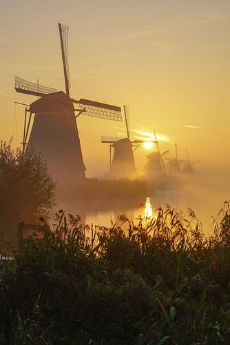 Een prachtige morgen bij Kinderdijk en zijn molens