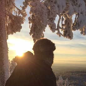 Sjaak Van de Mheen profielfoto