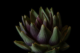 Dusky Form von Cindy Coenen Fine Art