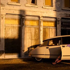 De snoek (Citroen DS) van Harry van Rhoon